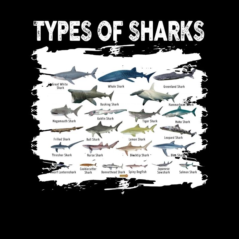 Types de requins
