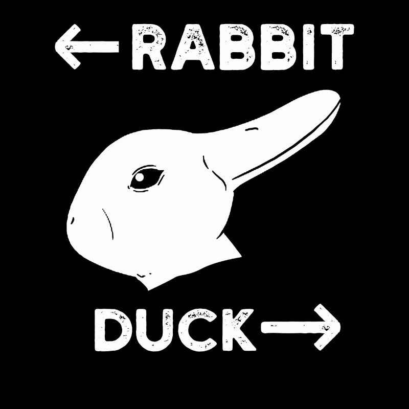Wittgenstein lapin canard illusion