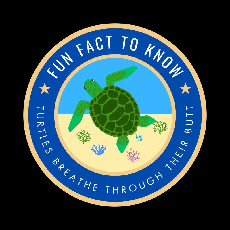 Fun Fact about Turtles
