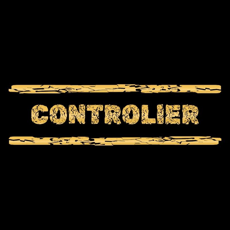 Beruf Controller