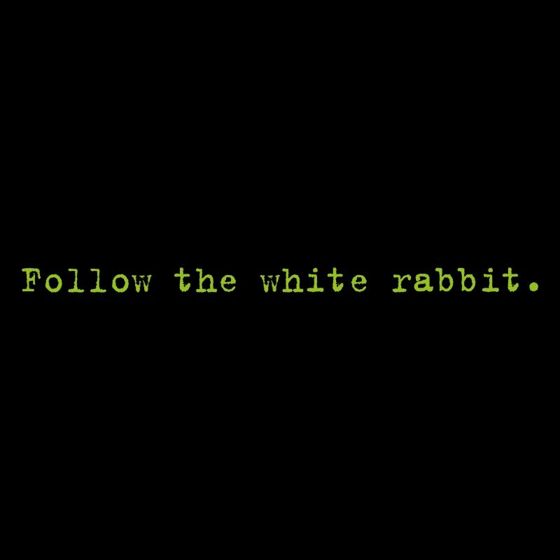Follow the white rabbit Programming Informatique
