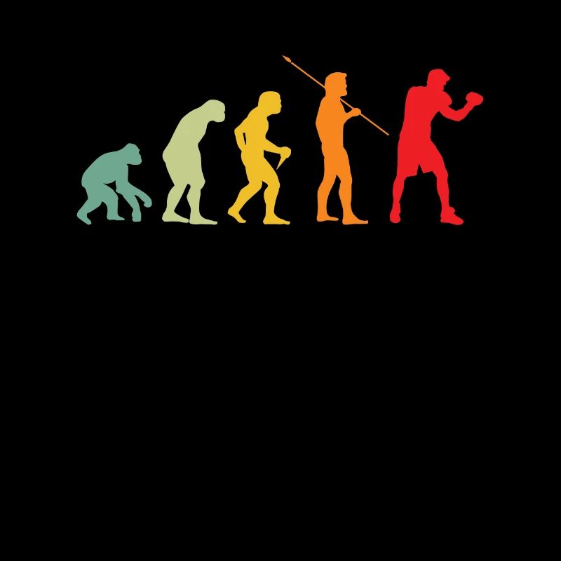 Boxe Evolution Boxe