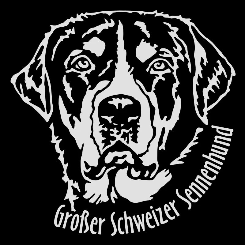 492 Großer Schweizer Sennenhund