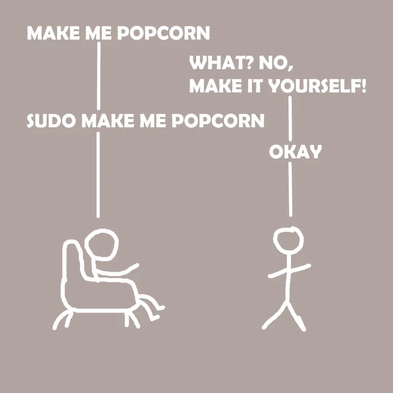 programmeur sudo informatique