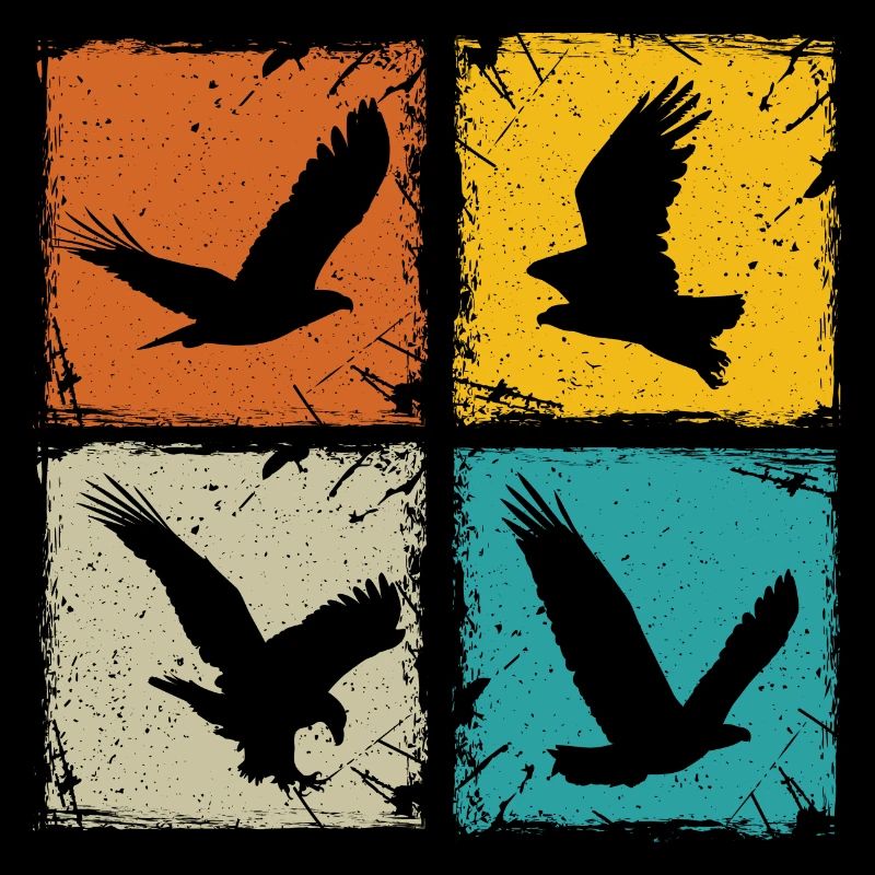 Retro squares falcons eagles falconry hawking