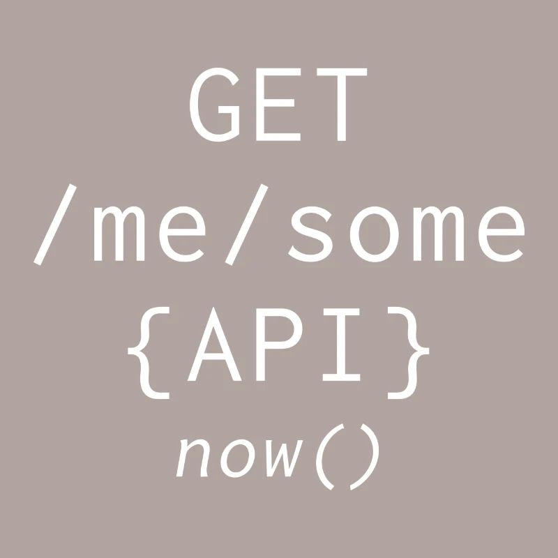 Api programming informatic gift saying