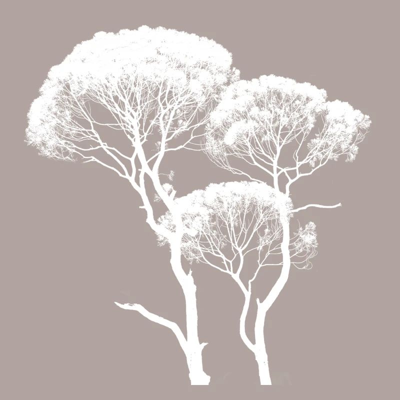 Tall Canopy Tree
