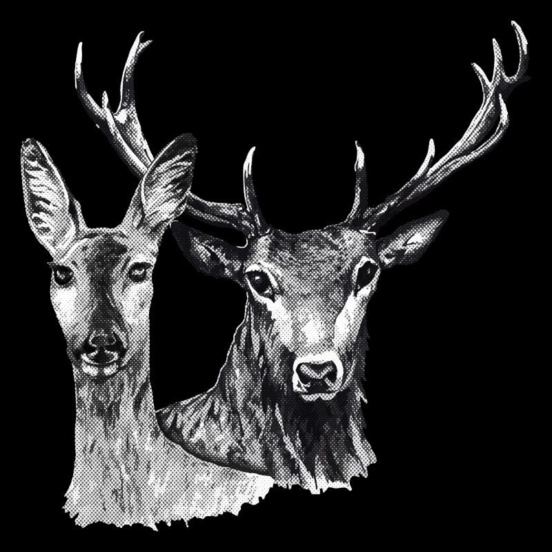 Cerfs et biche