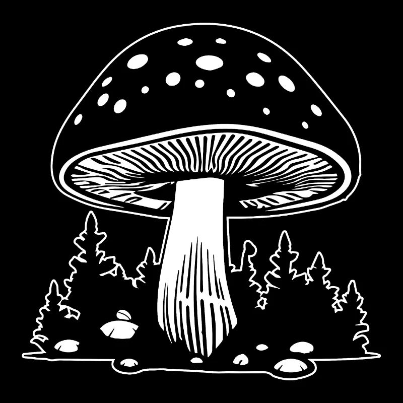 Champignon Cueilleur de champignons Champignons Champignons
