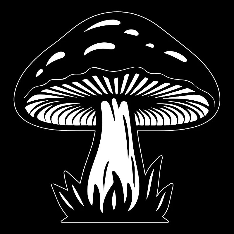 Champignon Cueilleur de champignons Champignons Champignons