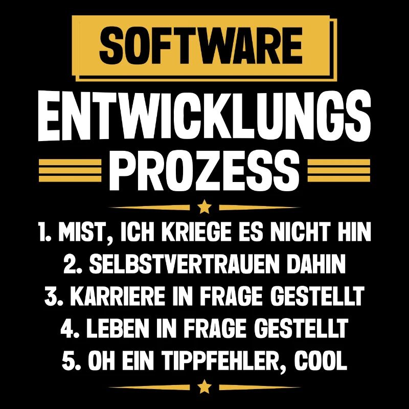 Software Entwicklungs Prozess Lustige Informatik