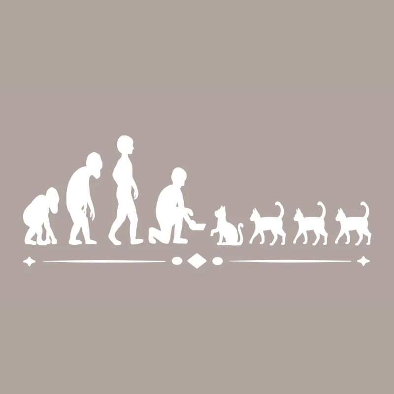 Die evolutionäre Entwicklung Katze - Mensch