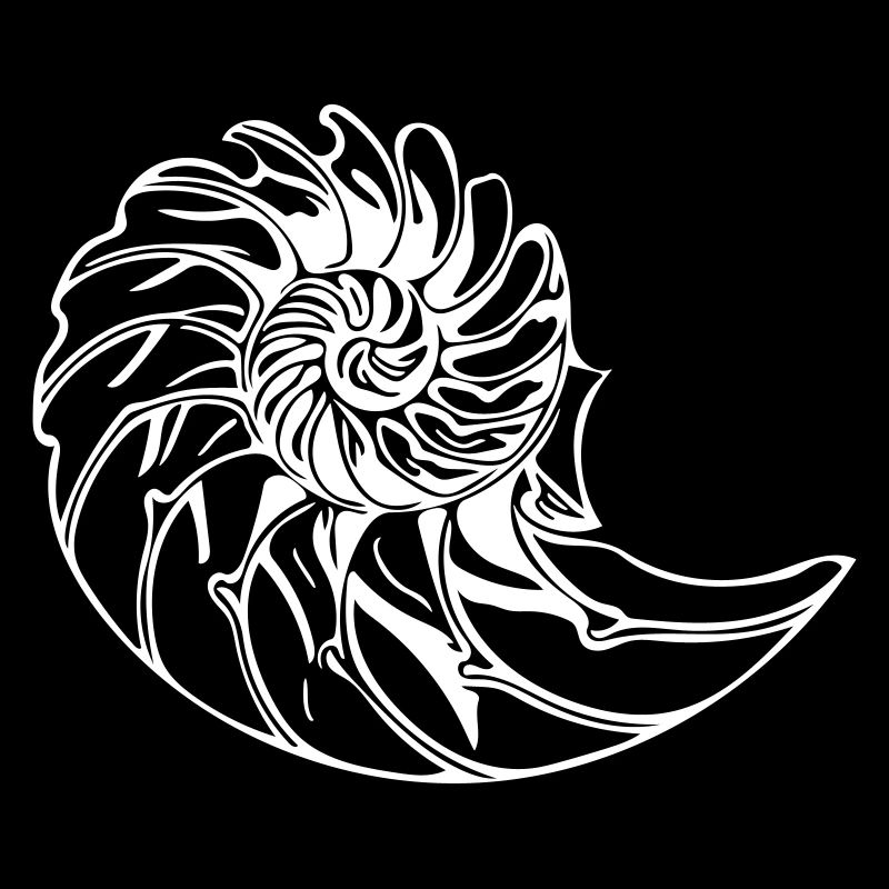 Elegant shell