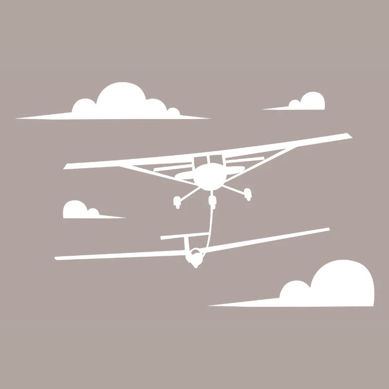 Sailplane Pilot Evolution Flying Glider Aviation