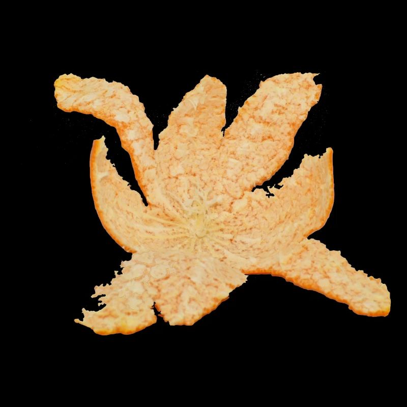 Orangenschale
