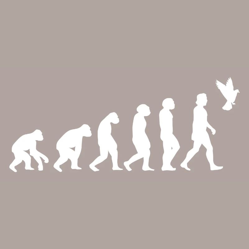 Taube Vogel Evolution der Menschen Tiere