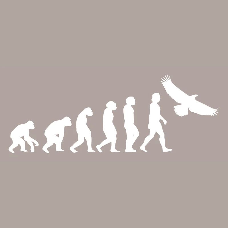 Aigle Blanc Evolution Animaux Oiseau de proie Oiseau