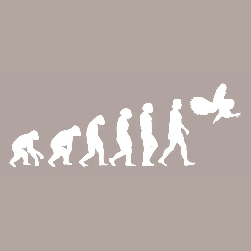 Eule Vogel Evolution der Menschen Tiere