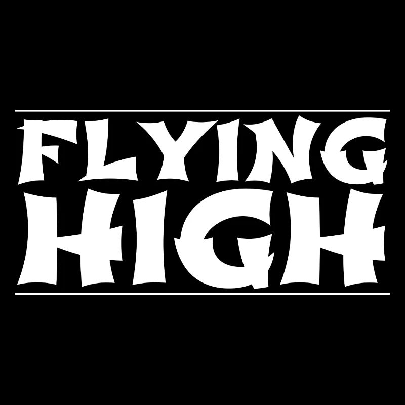 bday graceful flight statement funny sayings pilot