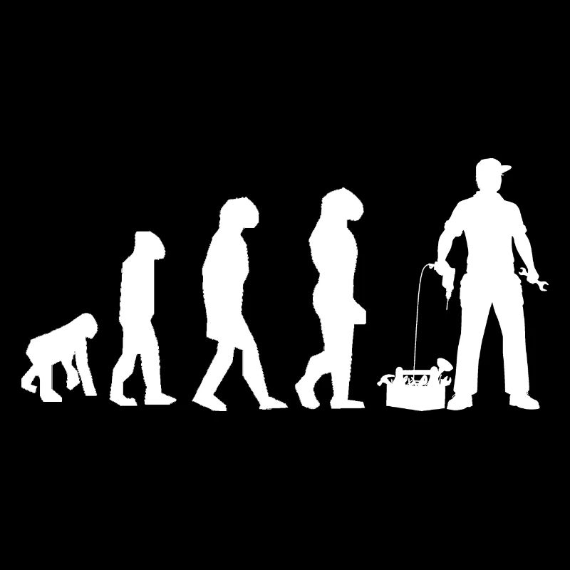 évolution bricoleur