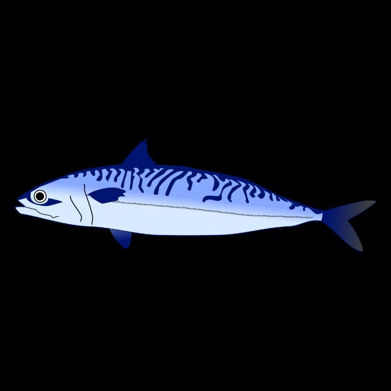 Makrele Blau