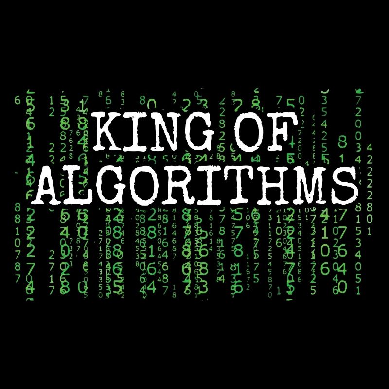 Software Ingenieur Informatiker Programmierer