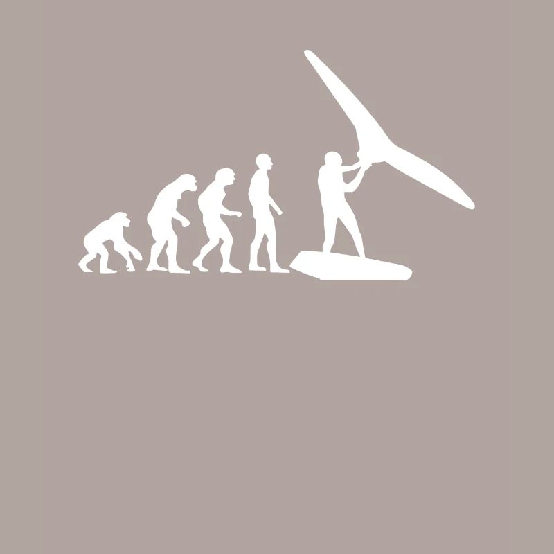 Wing Surf Evolution Wing Foil Geschenk Wingfoiler