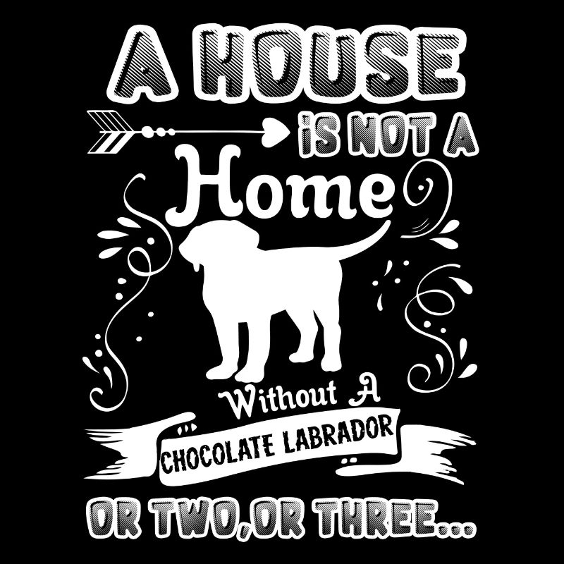 Chocolate Labrador Home Without Chocolate Labrador