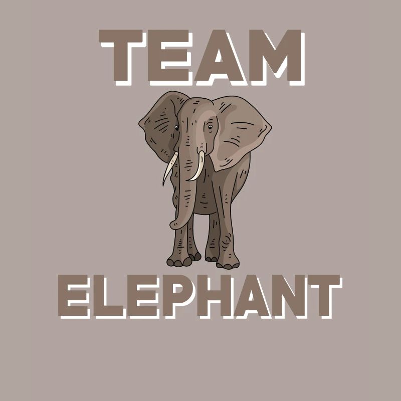 Équipe Elephant