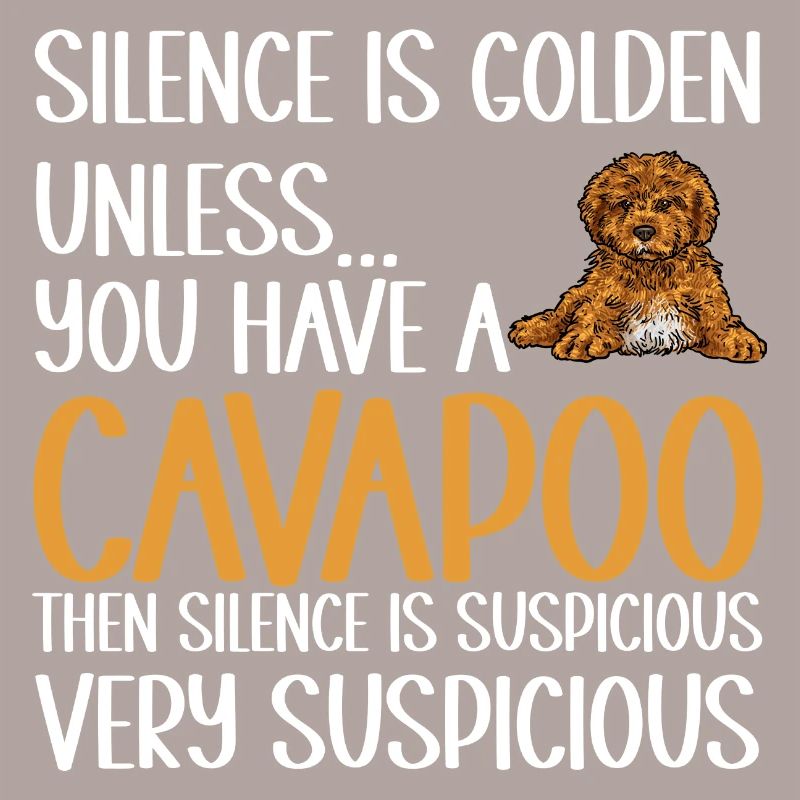 Cavapoo Cavoodle Capoodle Hund