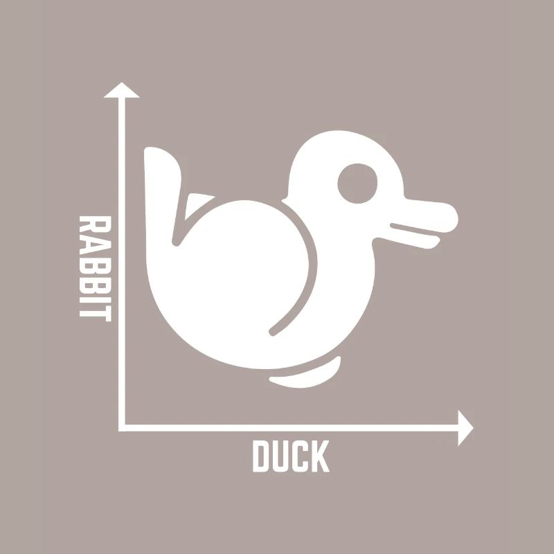 Rabbit Duck Graph Math Pun Student Teacher Easter