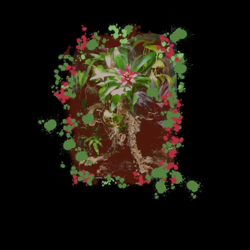 Terrarium | Flaschengarten