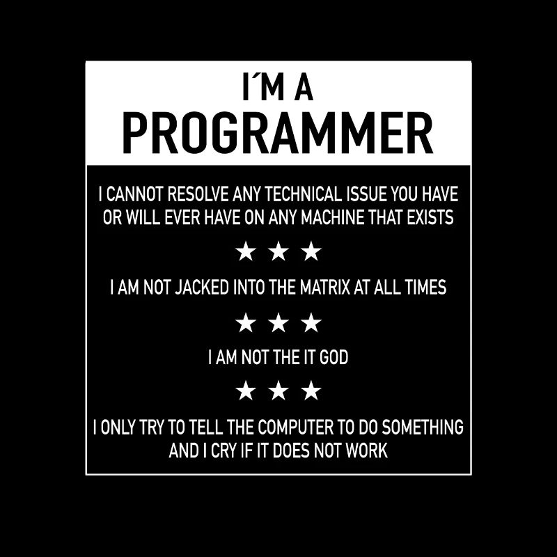 I am a programmer quote for coder