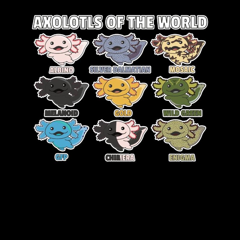 Axolotls du monde animaux doux Espèces d’Axolotl