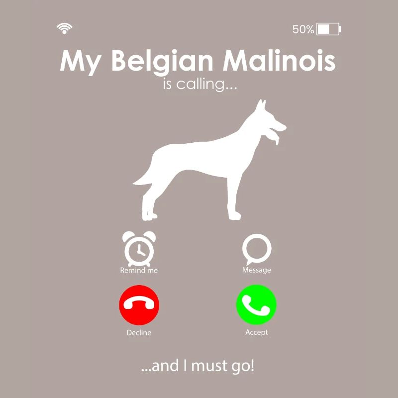 Malinois Belgian Shepherd