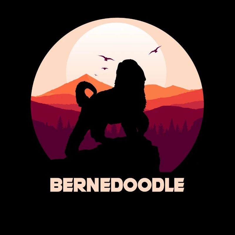 Bernedoodle Hund