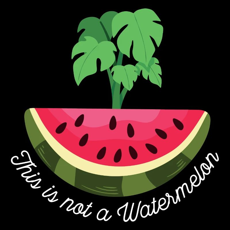 THIS IS NOT A WATERMELON