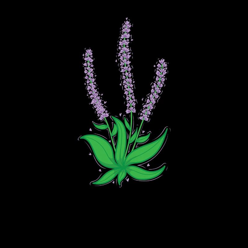 Pflanze Lavendel Garten Duft Kräuter