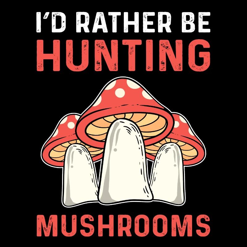 Je préfère chasser les champignons. Collecte de champignons