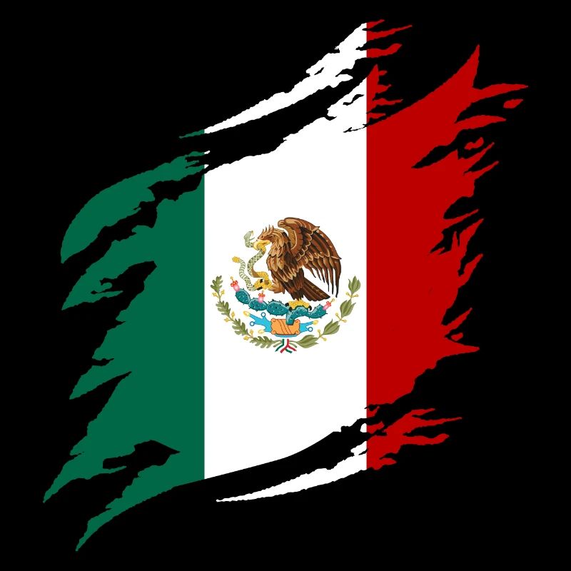 Mexique Drapeau Mexicain Drapeau Mexique Amérique du Sud