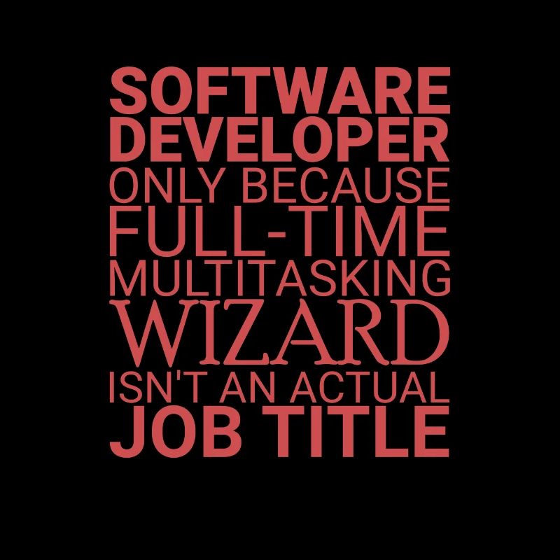 "Software Developer Wizard | Programmierer"