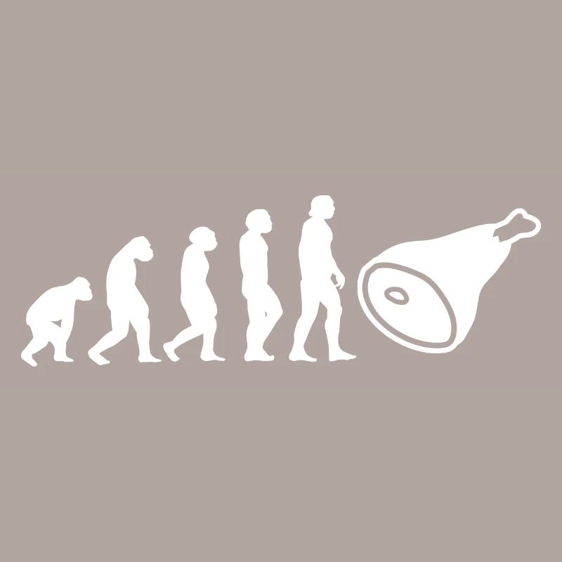 Evolution Fleischer