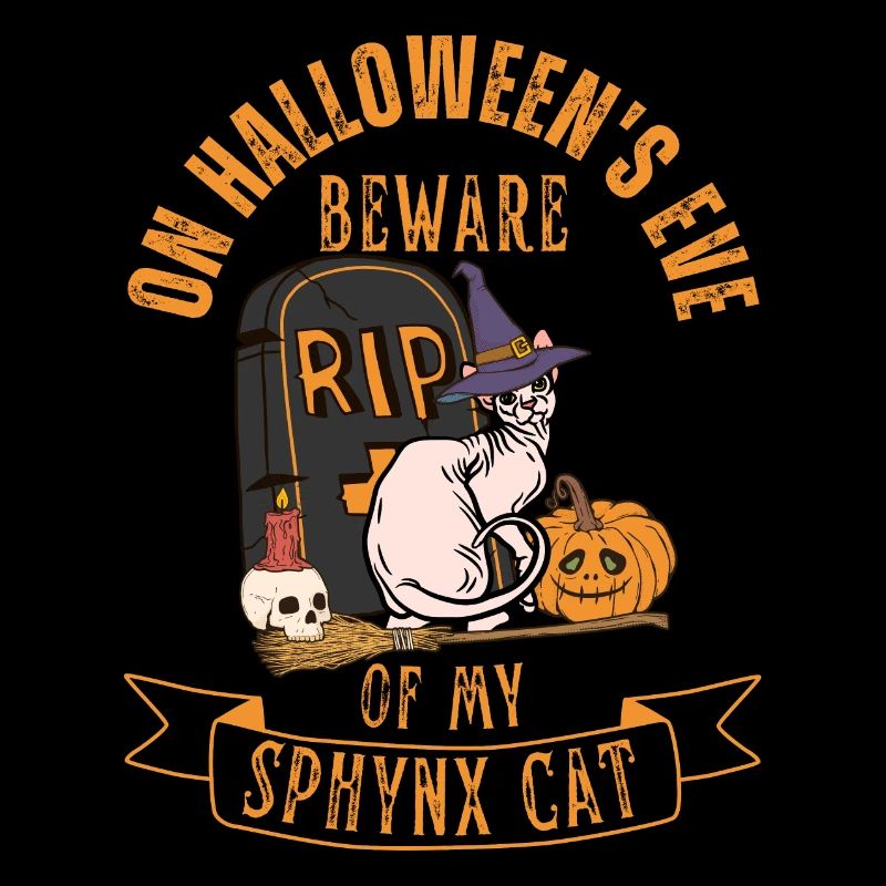 Mignon et effrayant chat d’Halloween Sphynx