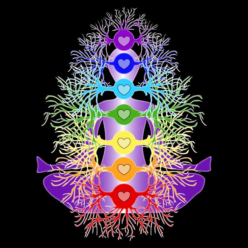 Les chakras avec leurs racines