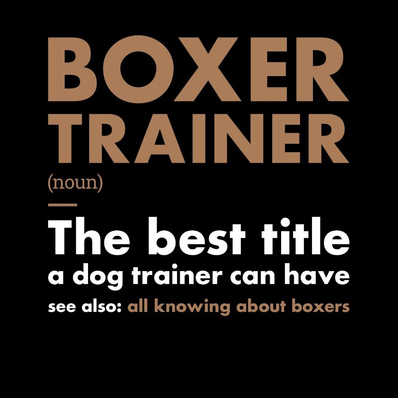 Boxer Trainer Definiton