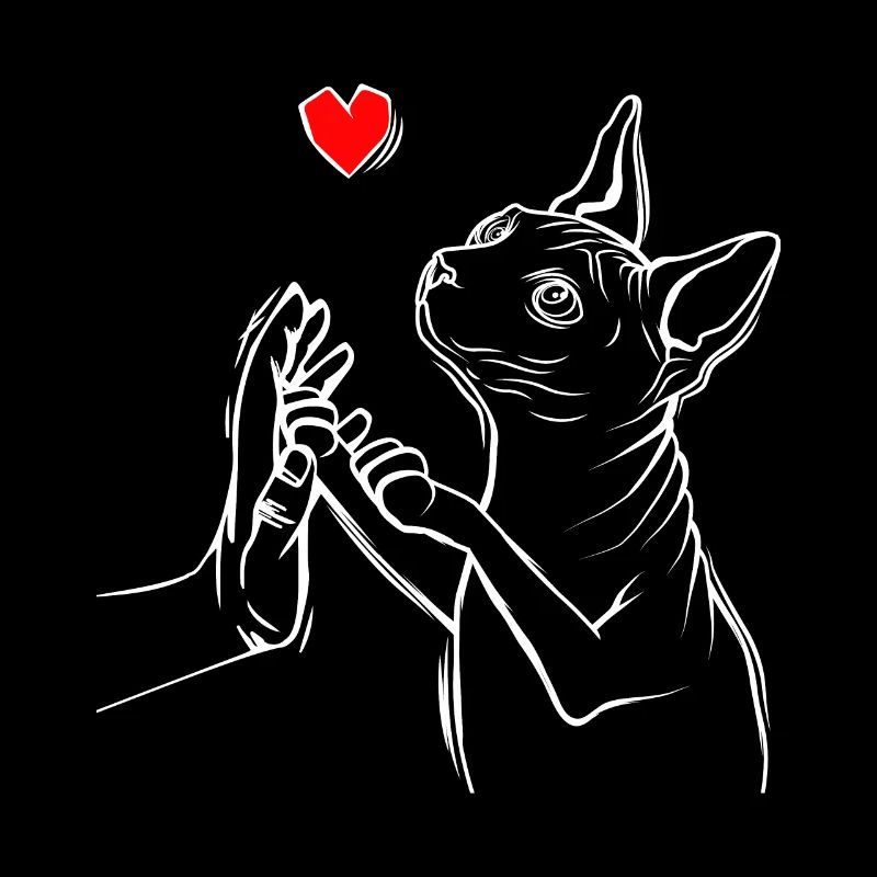 Sphynx Chat Amour Sphinx Chat Nu