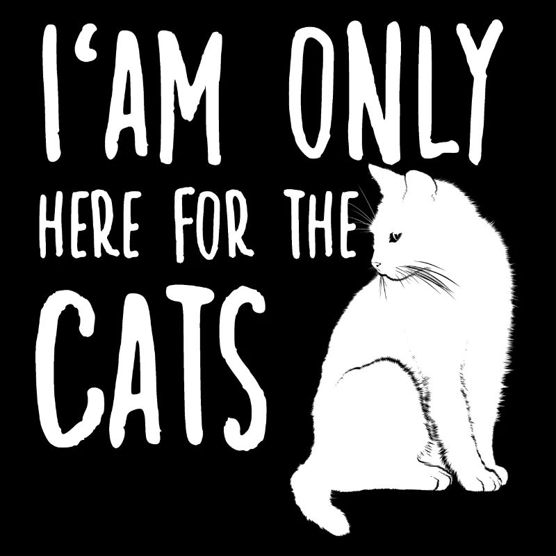 Propriétaire de chats Mignon Chaton Propriétaire de chat