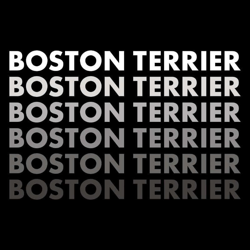 Boston Terrier