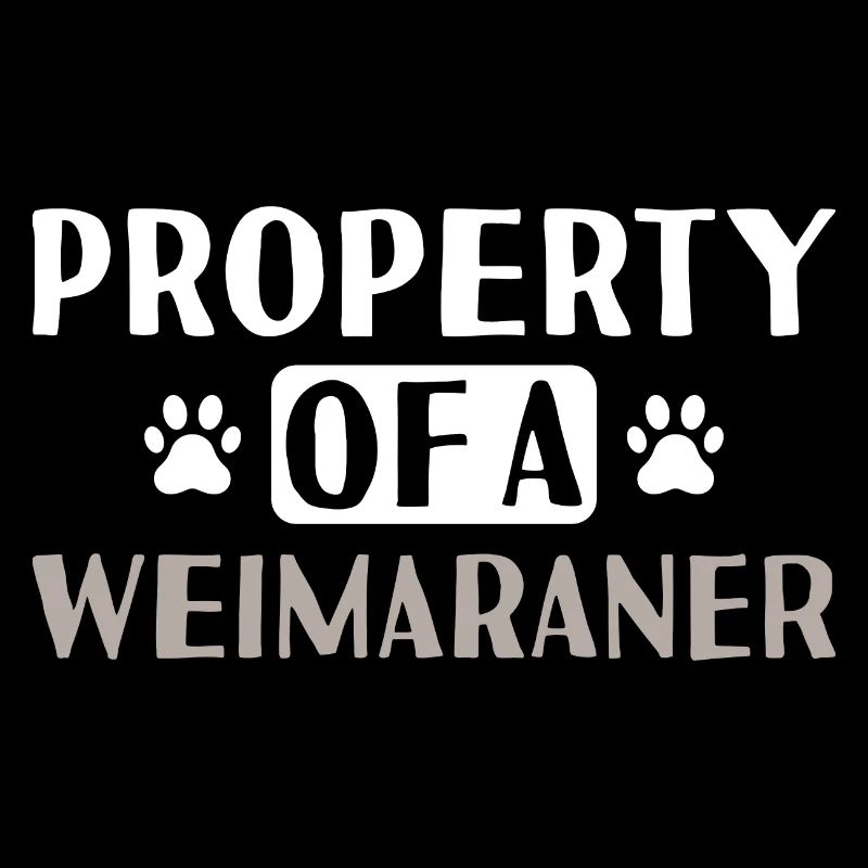 Propriété d’un braque de Weimar