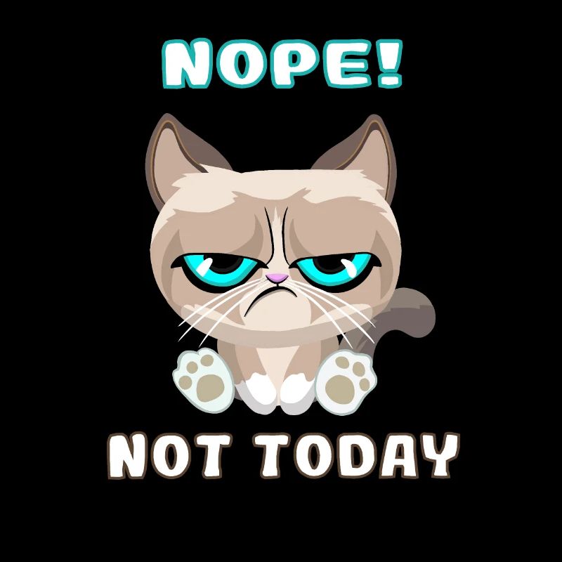 , Chat teckel, Nope, Not Today